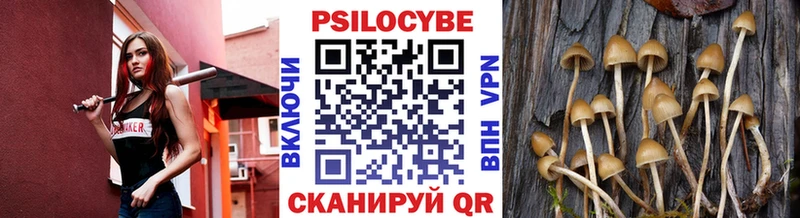 Купить  Таштагол  Псилоцибиновые грибы Magic Shrooms 