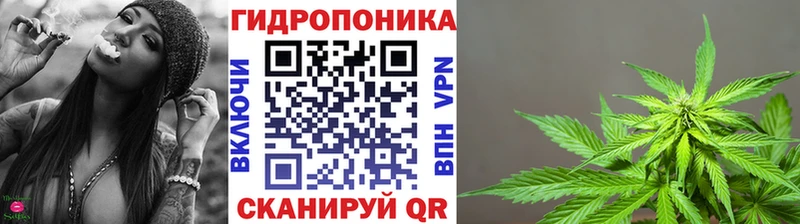 Каннабис OG Kush  Купить  Таштагол 